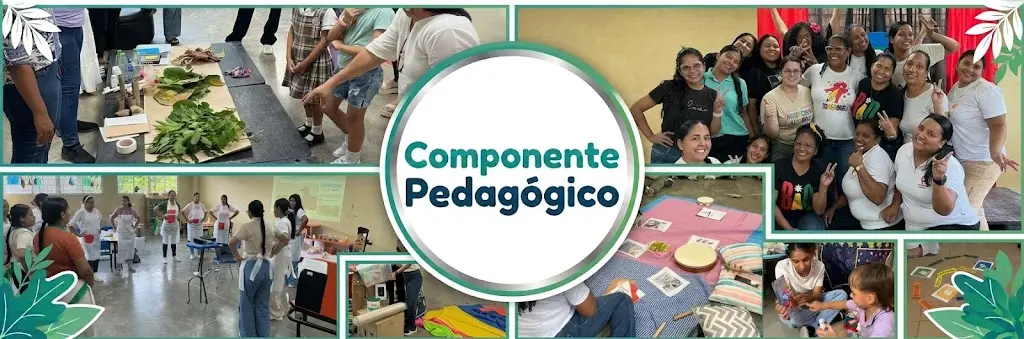 componente pedagogico